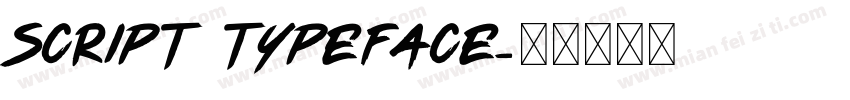 Script Typeface字体转换